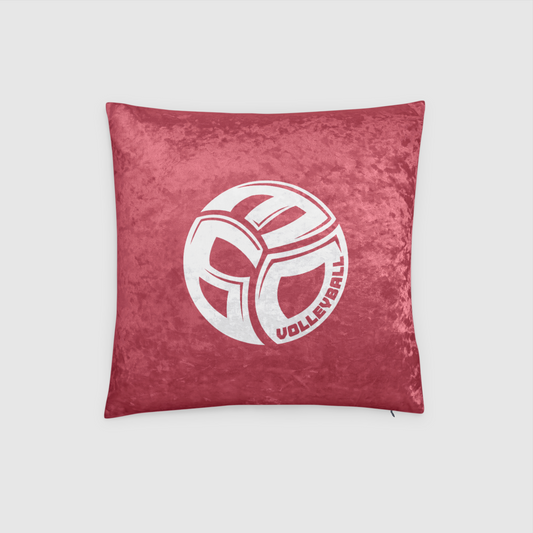 2024 RED BALL Crushed Velvet Throw Pillow