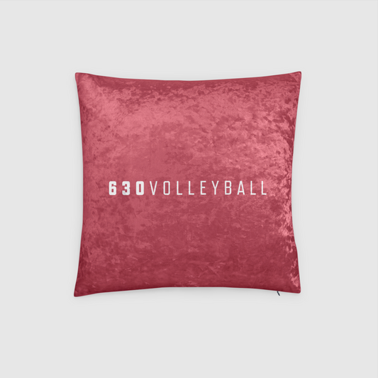 2024 RED Crushed Velvet Throw Pillow